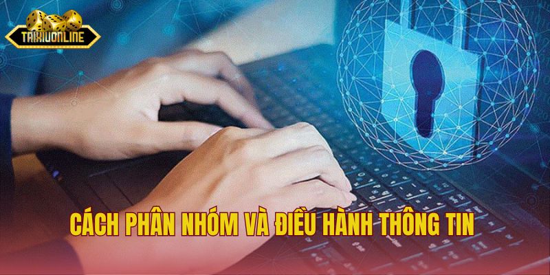 Cách phân nhóm và điều hành thông tin 